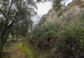 Non-developable land for sale on España, Pinos del Valle, ref: TR413820 photo