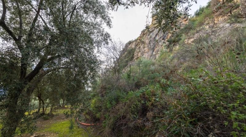 Granada - Pinos del Valle - 9018m2
