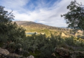 Non-developable land for sale on España, Pinos del Valle, ref: TR413820 photo