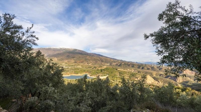 Granada - Pinos del Valle - 9018m2