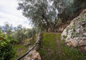 Non-developable land for sale on España, Pinos del Valle, ref: TR413820 photo