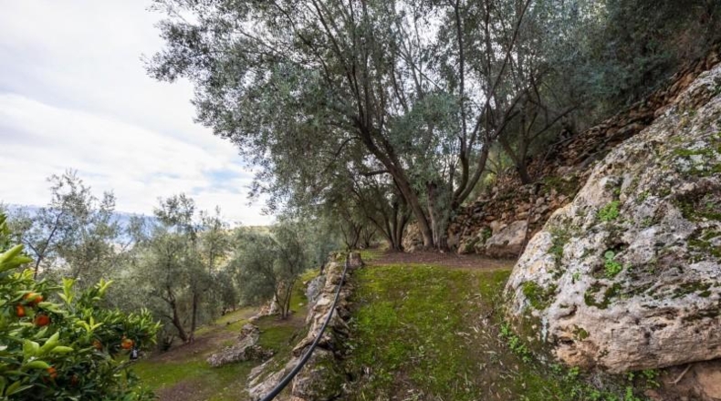 Granada - Pinos del Valle - 9018m2