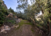 Non-developable land for sale on España, Pinos del Valle, ref: TR413820 photo