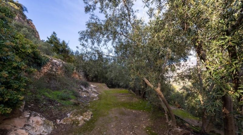 Granada - Pinos del Valle - 9018m2