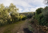 Non-developable land for sale on España, Pinos del Valle, ref: TR413820 photo