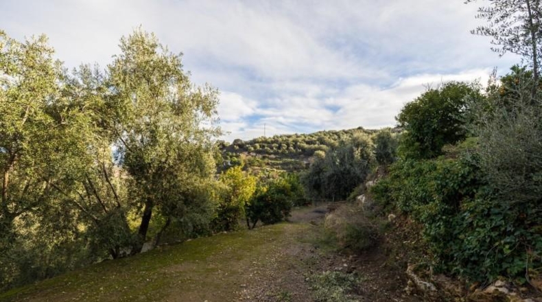Granada - Pinos del Valle - 9018m2