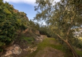 Non-developable land for sale on España, Pinos del Valle, ref: TR413820 photo