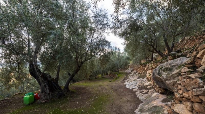 Granada - Pinos del Valle - 9018m2