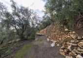 Non-developable land for sale on España, Pinos del Valle, ref: TR413820 photo