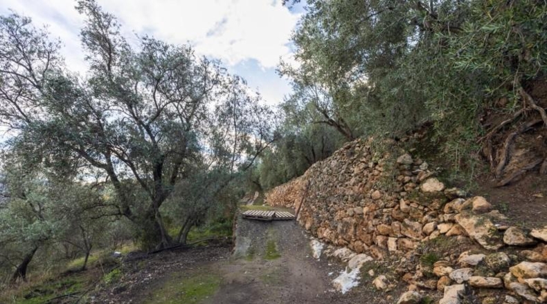 Granada - Pinos del Valle - 9018m2