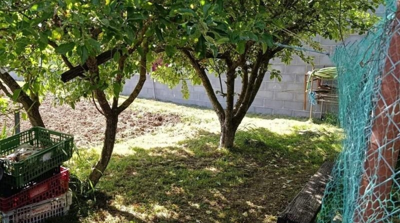 León - Villagatón - 770m2