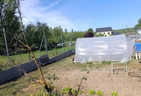 Foto 11