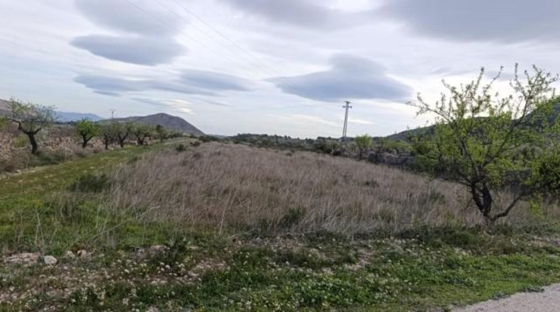 Alicante - Hondón de las Nieves - 11603m2