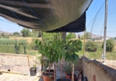 Casa de pueblo en venta en la España, Murcia, ref: TR347776 foto
