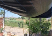 Casa de pueblo en venta en la España, Murcia, ref: TR347776 foto