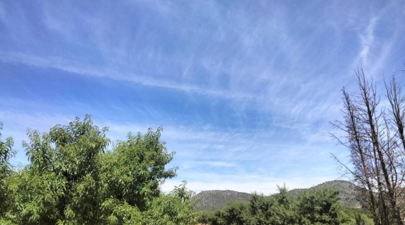 Murcia - Cehegín - 33460m2