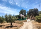 Non-developable land for sale on España, Cehegín, ref: TR413835 photo