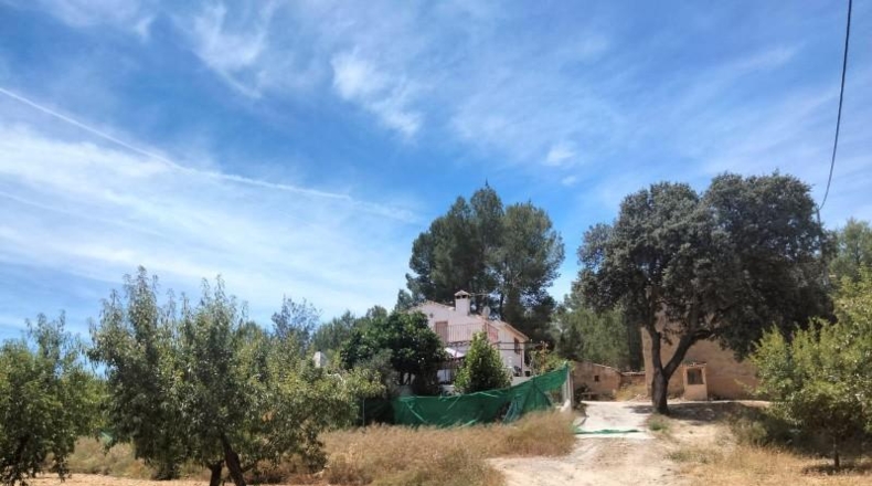 Murcia - Cehegín - 33460m2