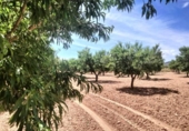 Non-developable land for sale on España, Cehegín, ref: TR413835 photo