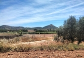 Non-developable land for sale on España, Cehegín, ref: TR413835 photo