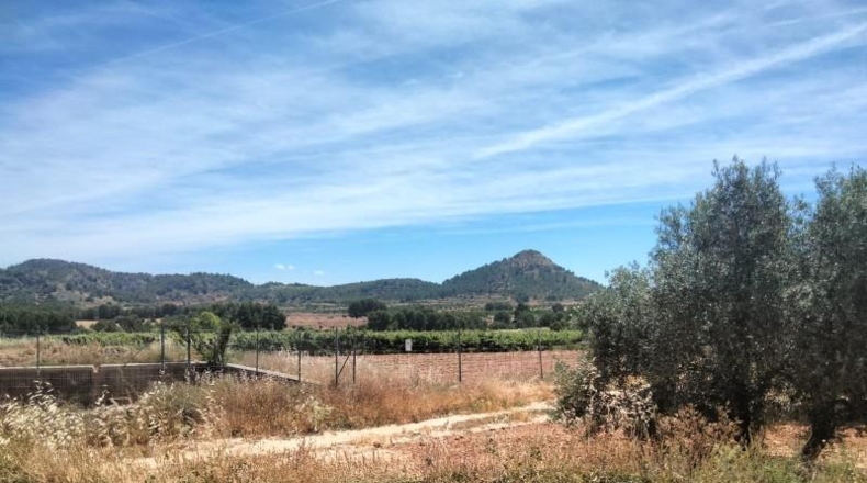 Murcia - Cehegín - 33460m2