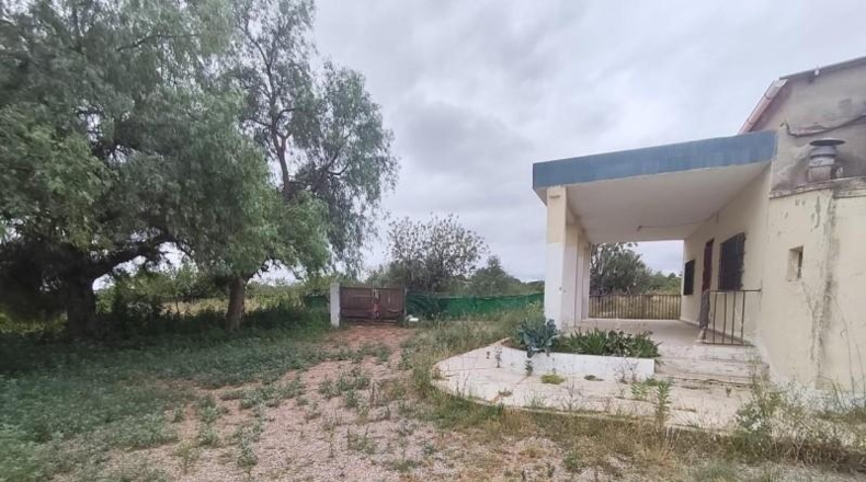 Valencia - Llíria - 3976m2