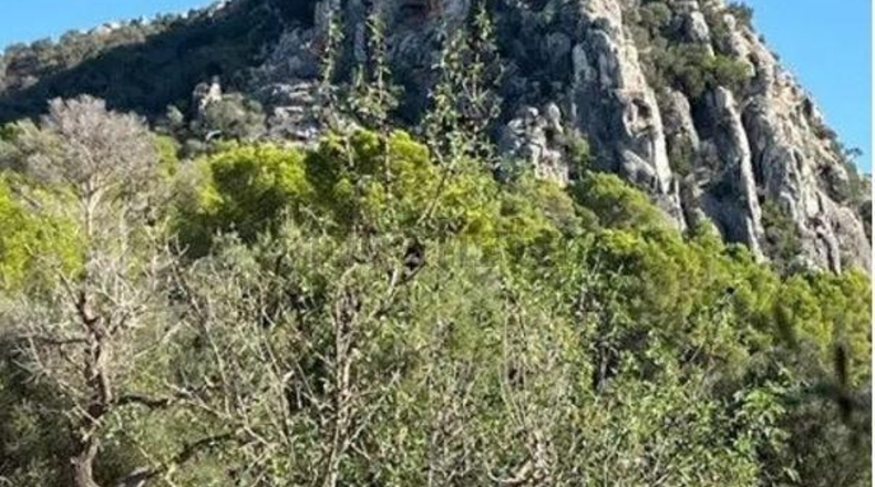 Islas Baleares - Llucmajor - 3572m2