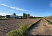 Terreno no urbanizable en venta en la España, Sant Jaume d'Enveja, ref: TR413844 foto