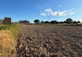 Terreno no urbanizable en venta en la España, Sant Jaume d'Enveja, ref: TR413844 foto