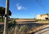 Terreno no urbanizable en venta en la España, Sant Jaume d'Enveja, ref: TR413844 foto