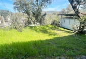 Chalet independiente con terreno en venta en la España, Estación de Espiel, ref: TR410539 foto