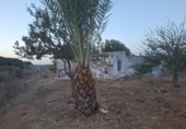 Casa de campo con terreno en venta en la España, Chiclana de la Frontera, ref: TR361914 foto
