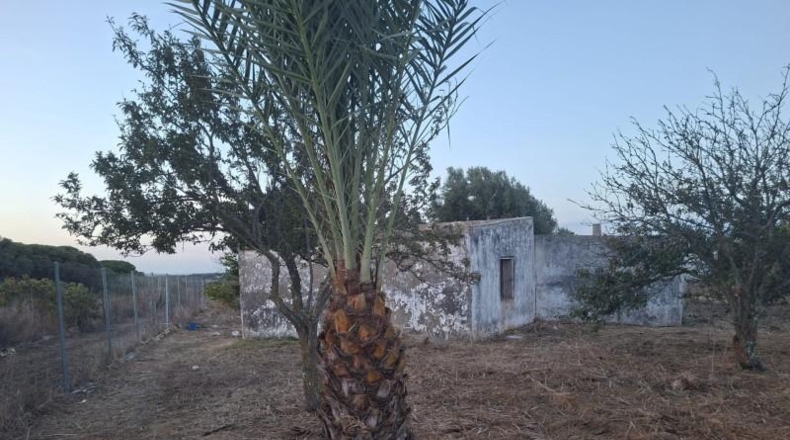 Cadiz - Chiclana de la Frontera - 1700m2