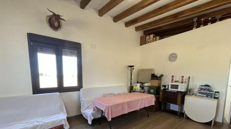 Navarra - Tudela - 10000m2