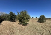 Casa de campo con terreno en venta en la España, Tudela, ref: TR413842 foto