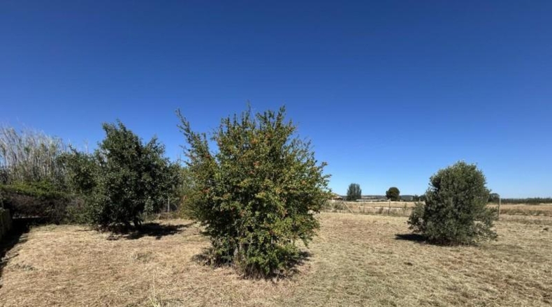 Navarra - Tudela - 10000m2