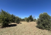 Casa de campo con terreno en venta en la España, Tudela, ref: TR413842 foto