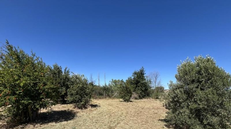 Navarra - Tudela - 10000m2