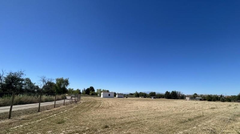 Navarra - Tudela - 10000m2