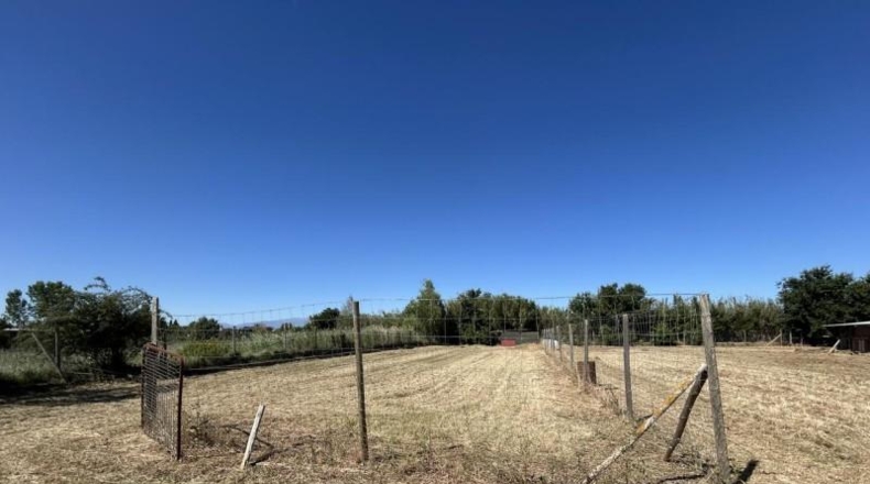 Navarra - Tudela - 10000m2