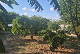 Murcia 824&nbsp;m²