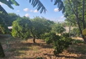 Chalet independiente con terreno en venta en la España, Murcia, ref: TR413845 foto