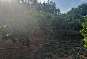 Murcia 824&nbsp;m²