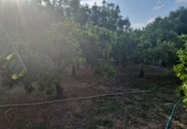 Chalet independiente con terreno en venta en la España, Murcia, ref: TR413845 foto