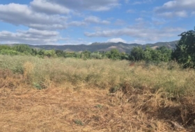 Murcia 824&nbsp;m²