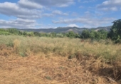 Chalet independiente con terreno en venta en la España, Murcia, ref: TR413845 foto