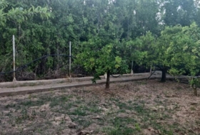 Murcia 824&nbsp;m²