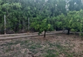 Chalet independiente con terreno en venta en la España, Murcia, ref: TR413845 foto