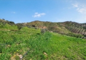 Terreno no urbanizable en venta en la España, Pizarra, ref: TR381051 foto
