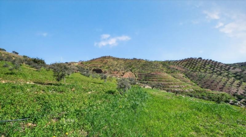 Malaga - Pizarra - 42m2